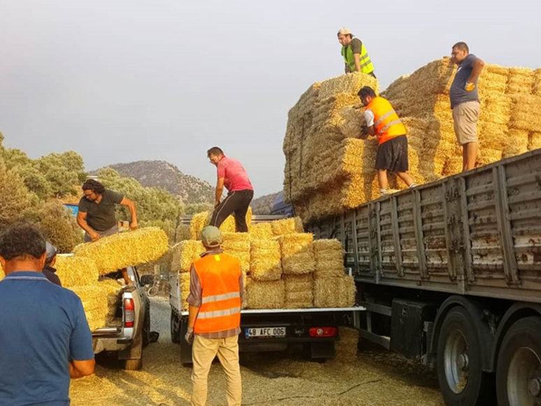 Bodrum Belediyesi'nden Yangın Mağduru Kişilere Destek Çalışmaları