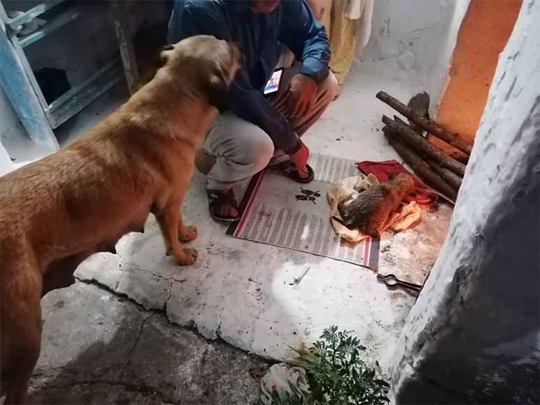 Muğla'da Sulama Kanalına Düşen Köpek Yavrusunu İtfaiye Kurtardı