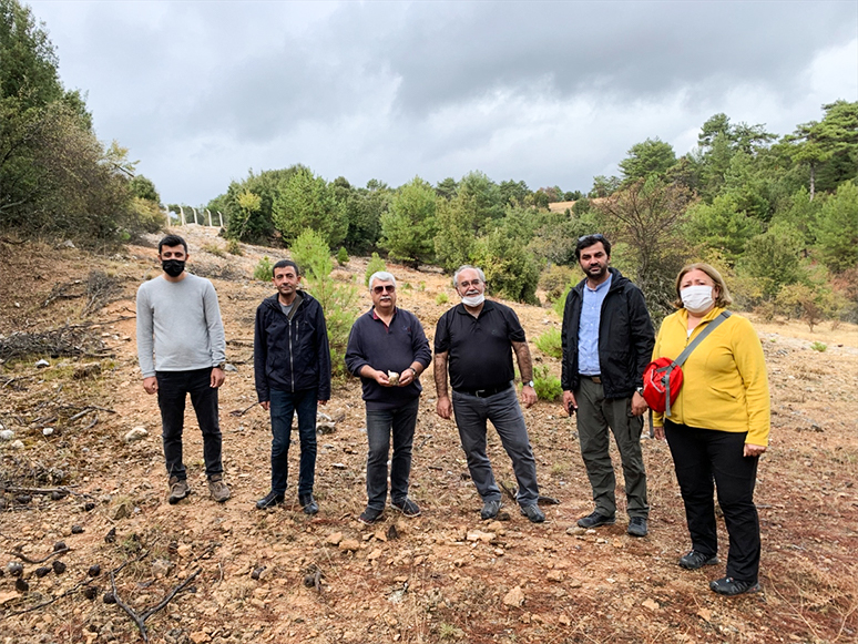 Muğla'da Fosil Kazı Çalışmaları Yeniden Başlayacak