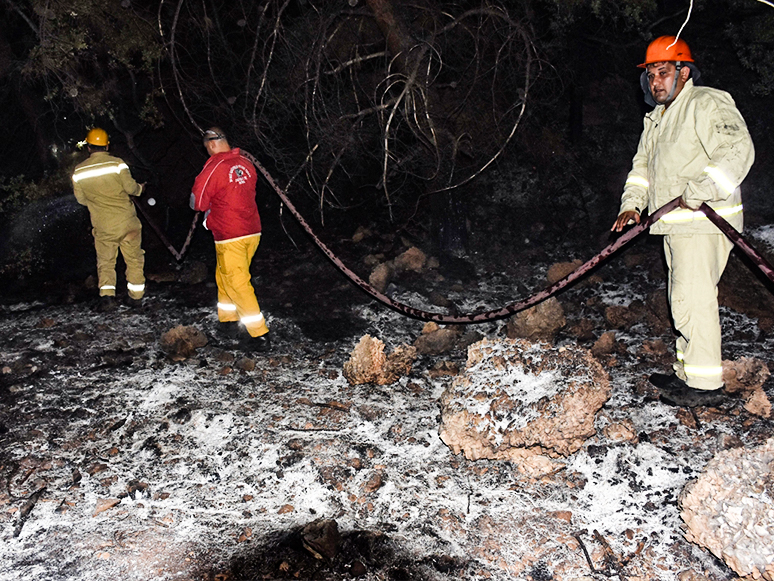 Seyir Halindeki Otomobilde Çıkan Yangın Ormana Sıçradı