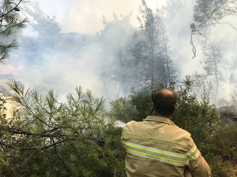 Milas, Bodrum ve Kavaklıdere'deki Yangınlara Havadan Ve Karadan Müdahale Sürüyor