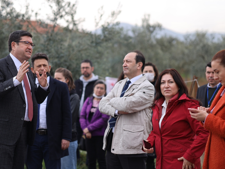 Muğla'da Zeytincilik Çalıştayı’na Katılanlar Zeytin Alanlarını İnceledi