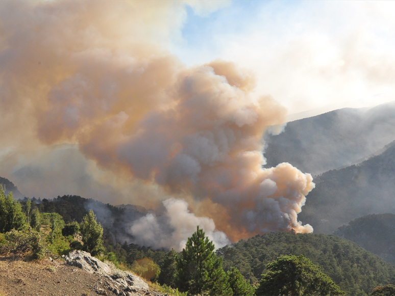 Muğla'da Devam Eden 5 Yangına Havadan ve Karadan Müdahale Ediliyor