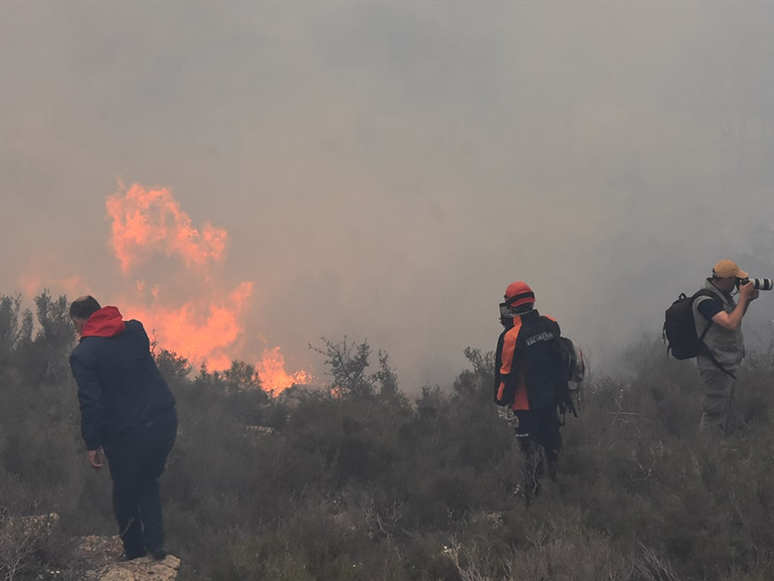 Bodrum'da Ormanlık ve Makilik Alanda Çıkan Yangın Kontrol Altına Alındı
