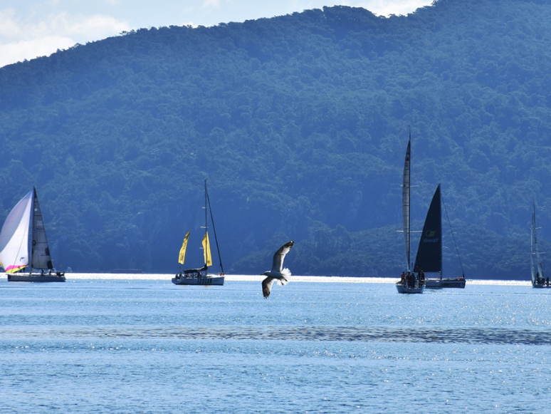 Yat Yarışları, Marmaris MIYC Kış Trofesi