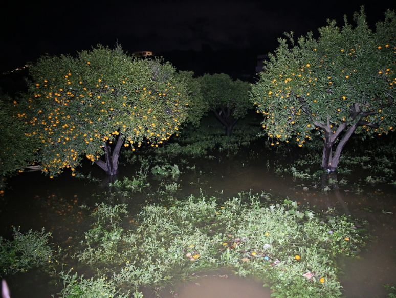 Bodrum'da Su Basan Ev Ve İş Yerlerinde Temizlik Yapıldı